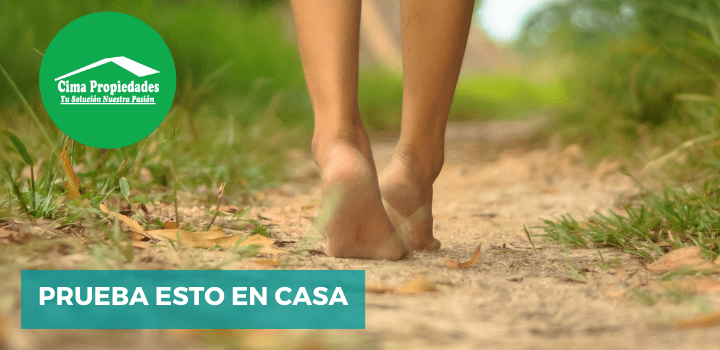 Consejos para una Vida Naturalmente Feliz -  Cima Propiedades