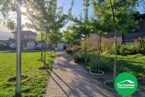 23 Casa Arriendo Chiguayante (6561112)